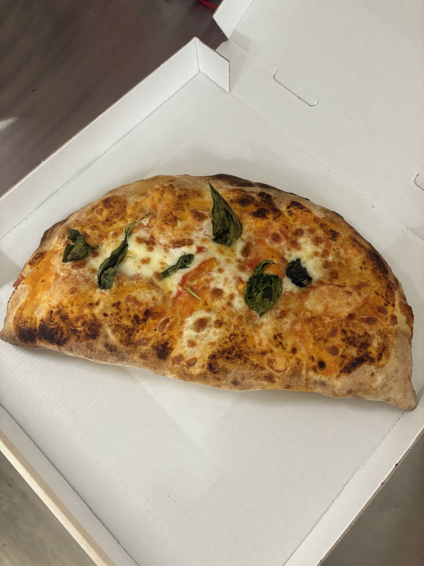 Pizza Calzone